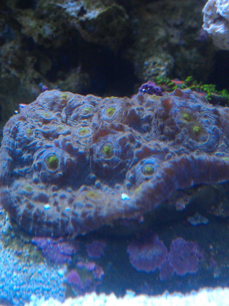 IMAG0733.jpg