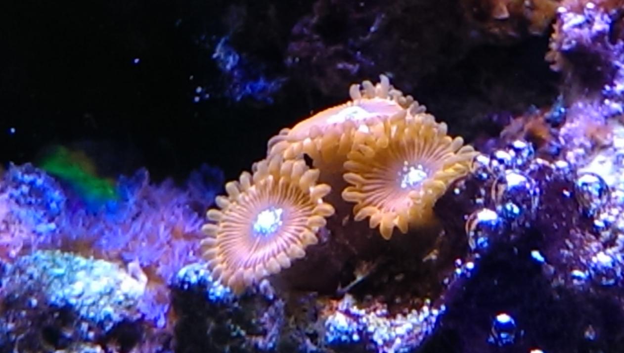 IMAG0746.jpg