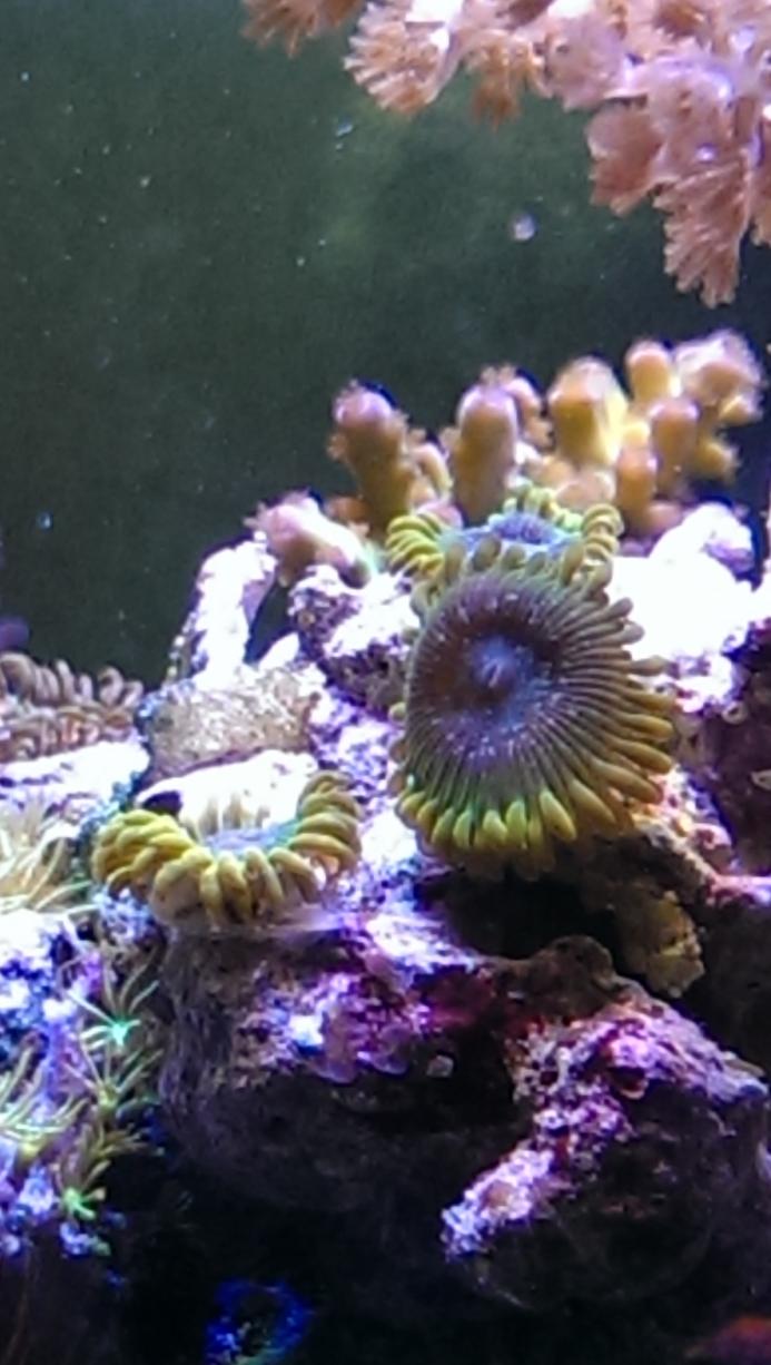 IMAG0758.jpg