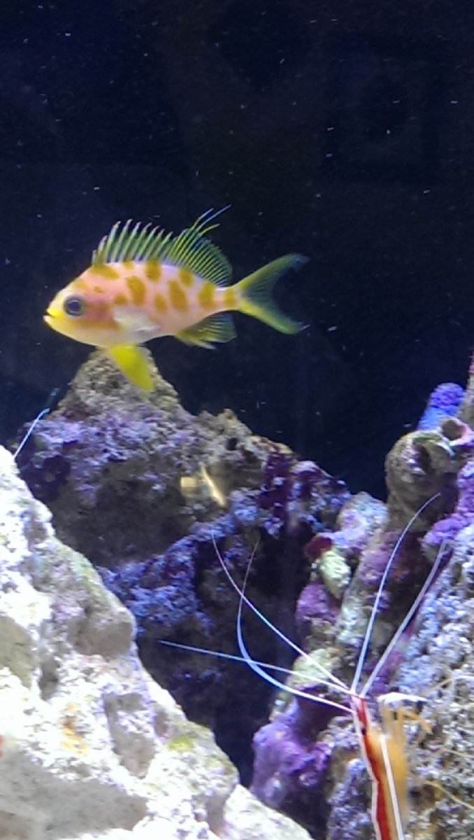 IMAG0761.jpg