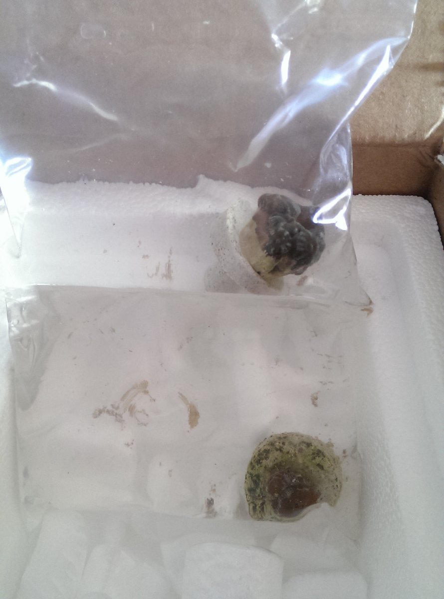 IMAG0765.jpg