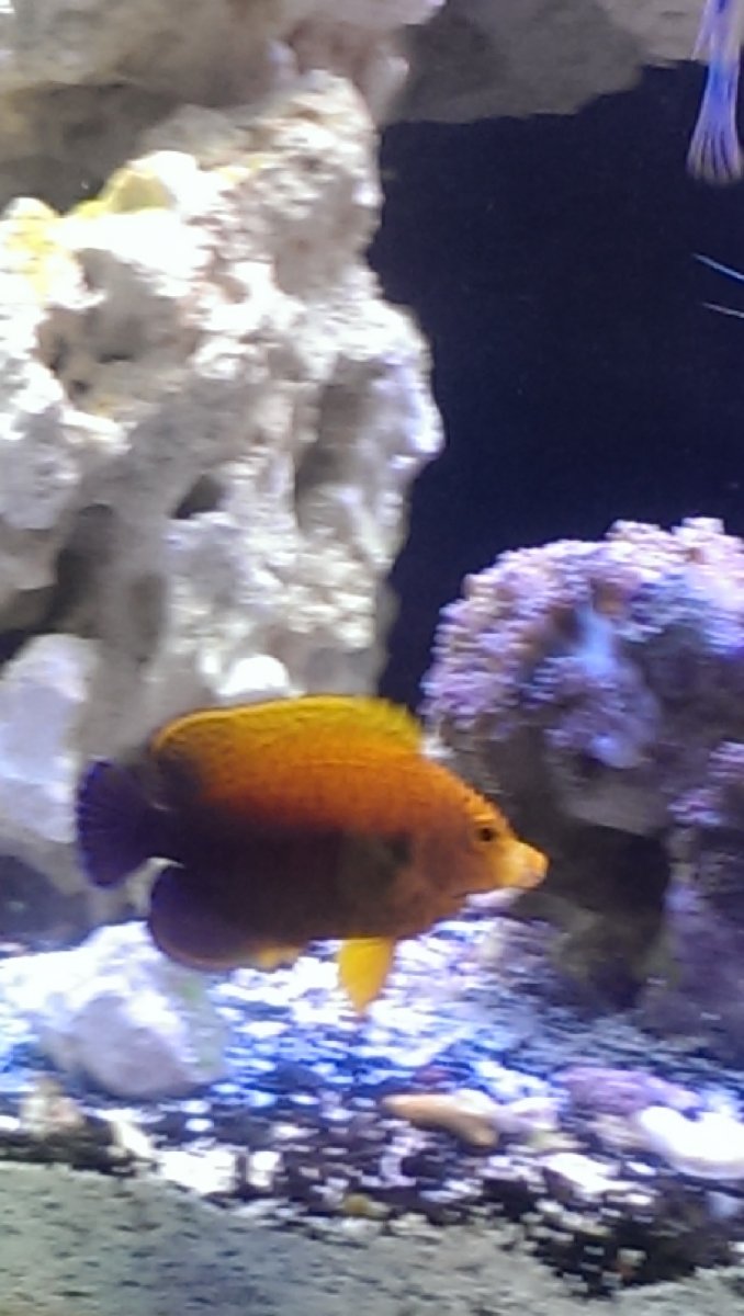 IMAG0772.jpg