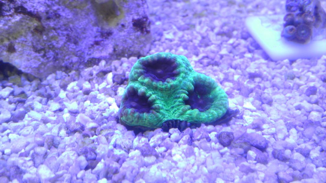 IMAG0774.jpg