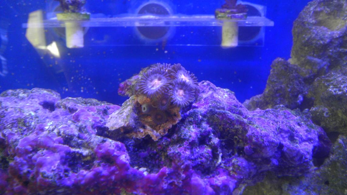 IMAG0775.jpg