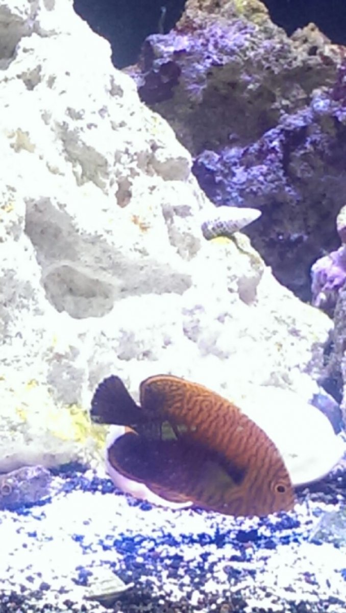IMAG0777.jpg
