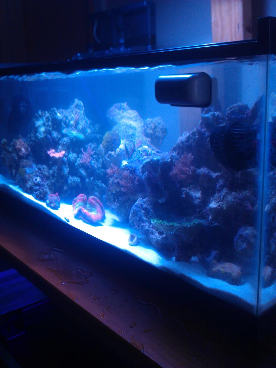 IMAG0810.jpg