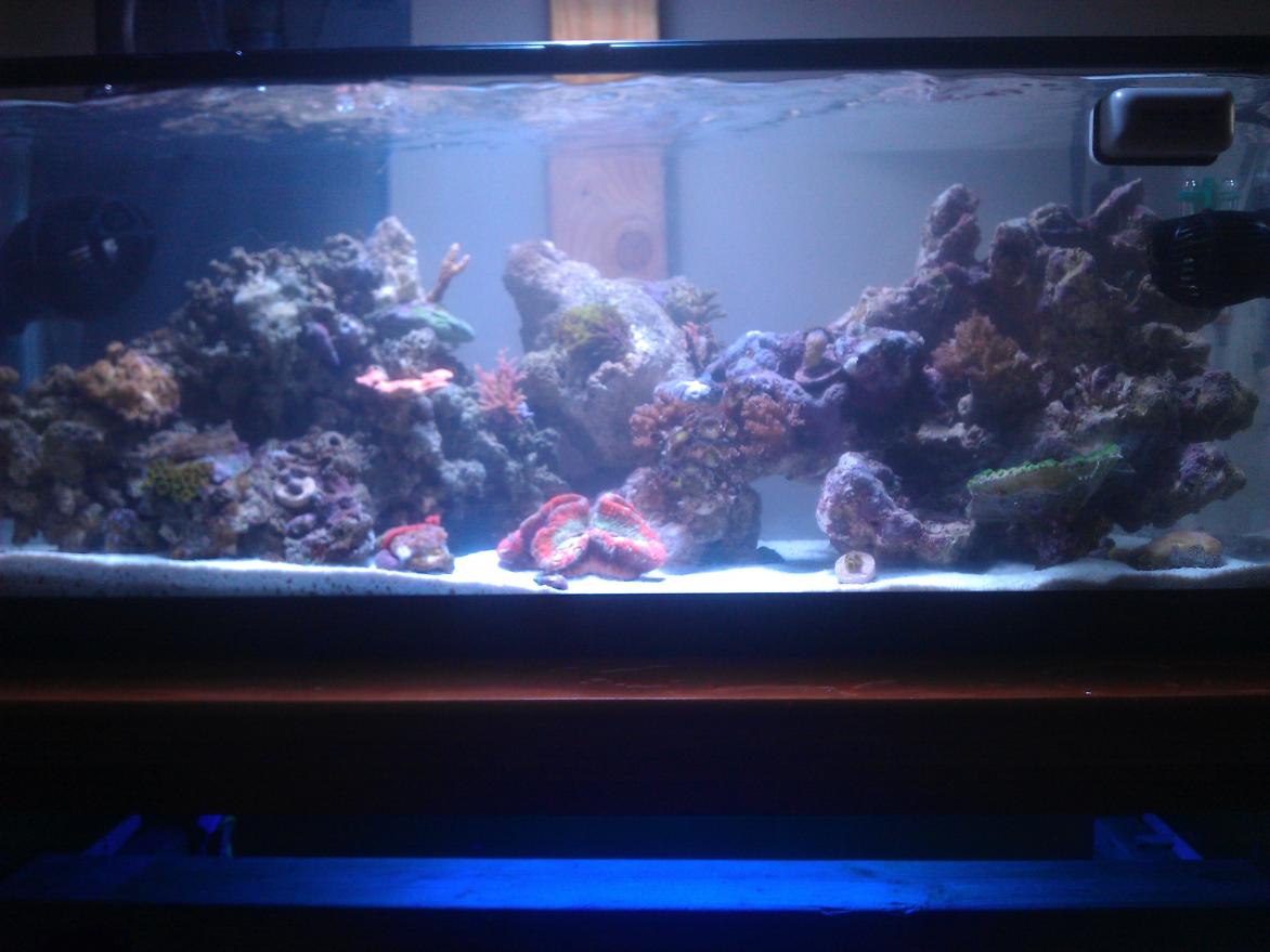 IMAG0815.jpg