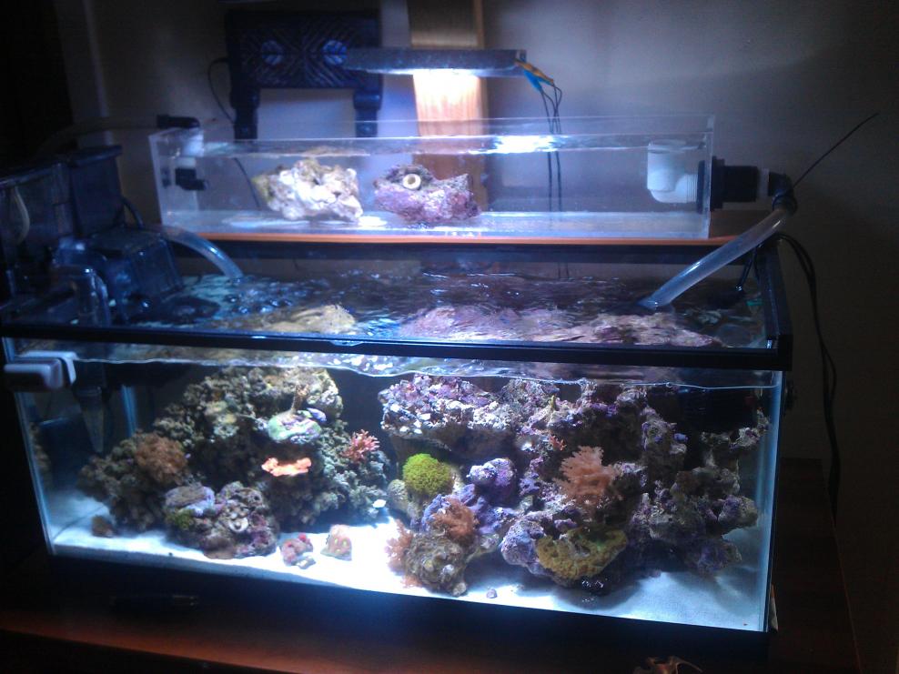 IMAG0838.jpg