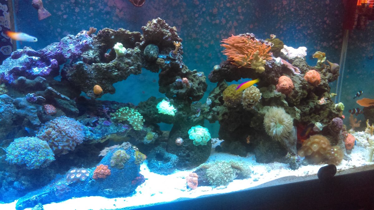 IMAG0854.jpg