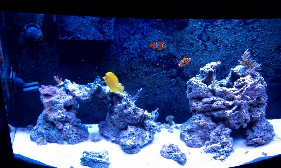 IMAG0856.jpg