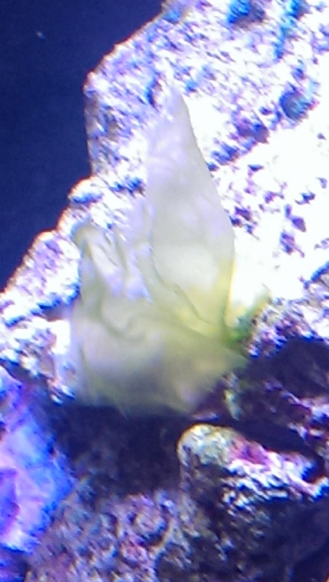 IMAG0860.jpg