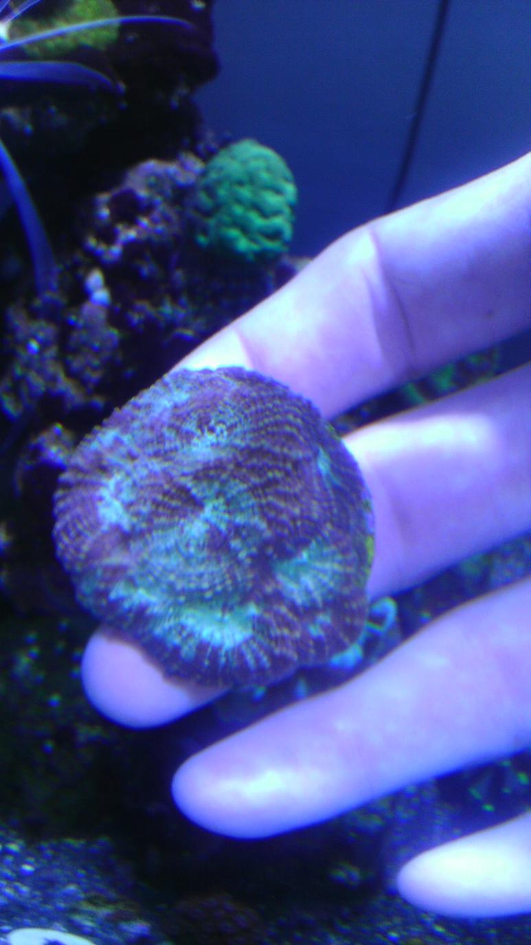 IMAG0879.jpg
