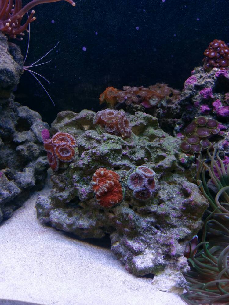 IMAG0883.jpg