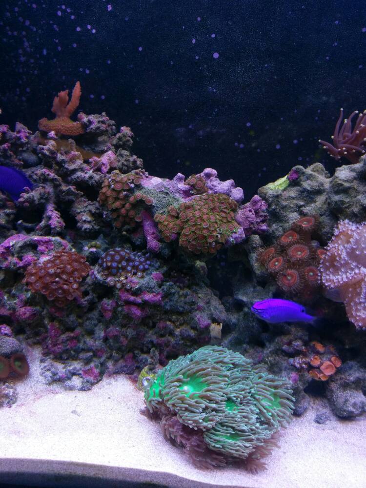 IMAG0885.jpg