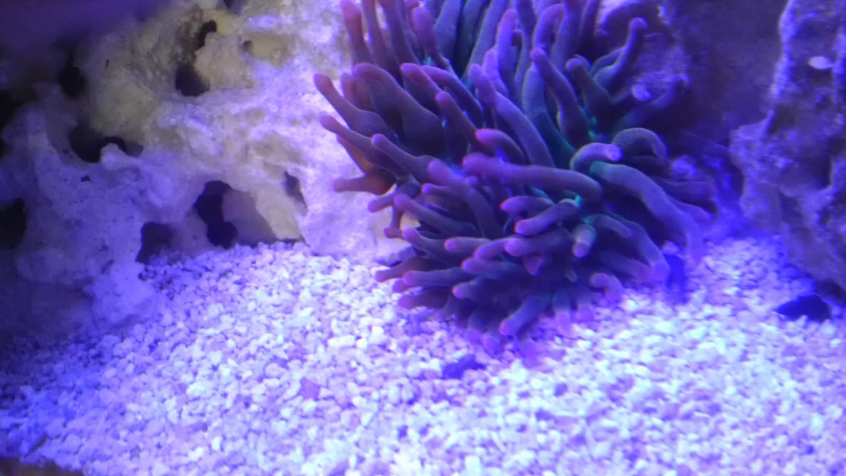 IMAG0888.jpg
