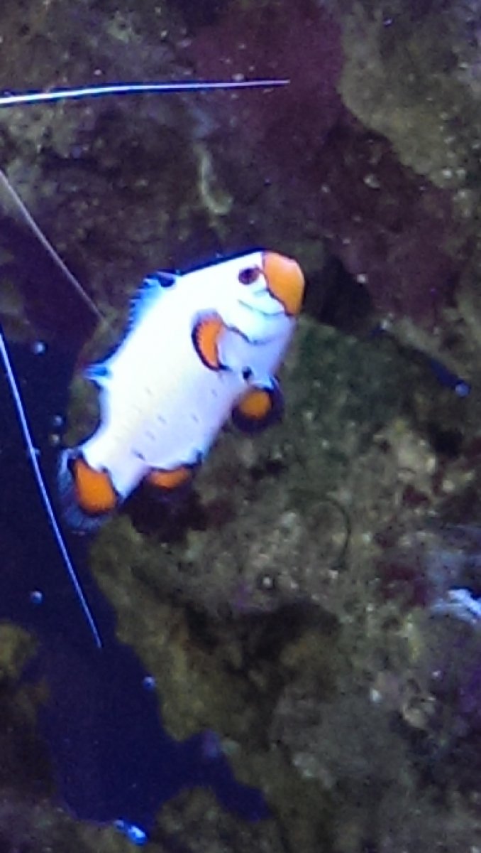 IMAG0896.jpg