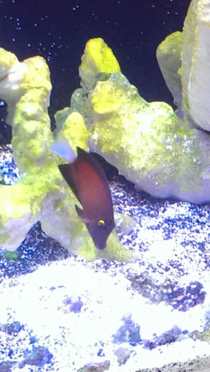 IMAG0912.jpg
