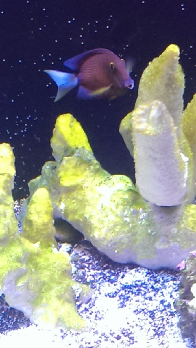 IMAG0923.jpg