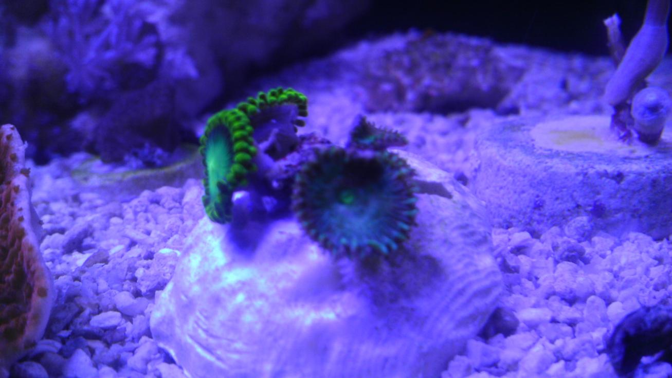IMAG0932.jpg