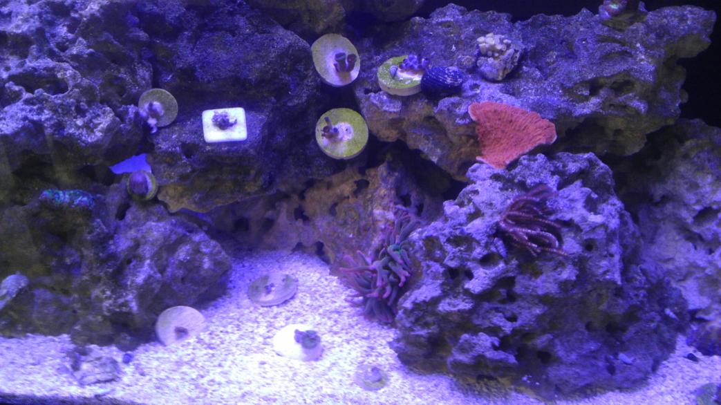 IMAG0952.jpg