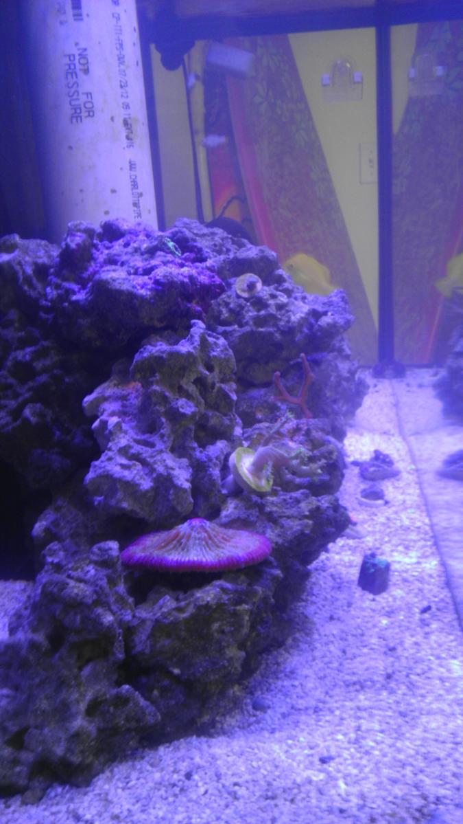 IMAG0955.jpg