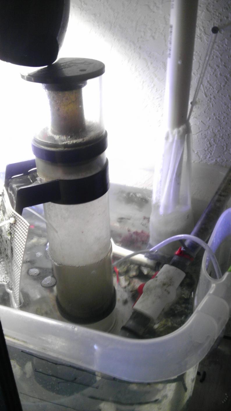 IMAG0960.jpg