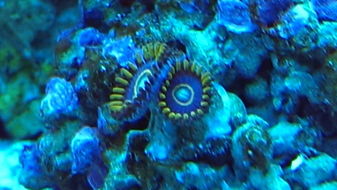 IMAG0967.jpg