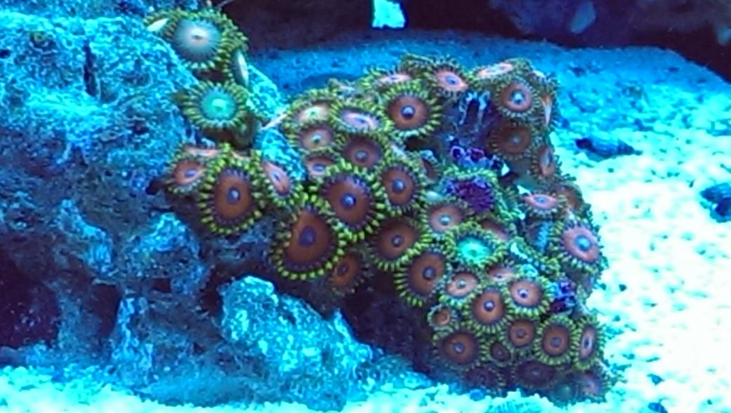 IMAG0969.jpg