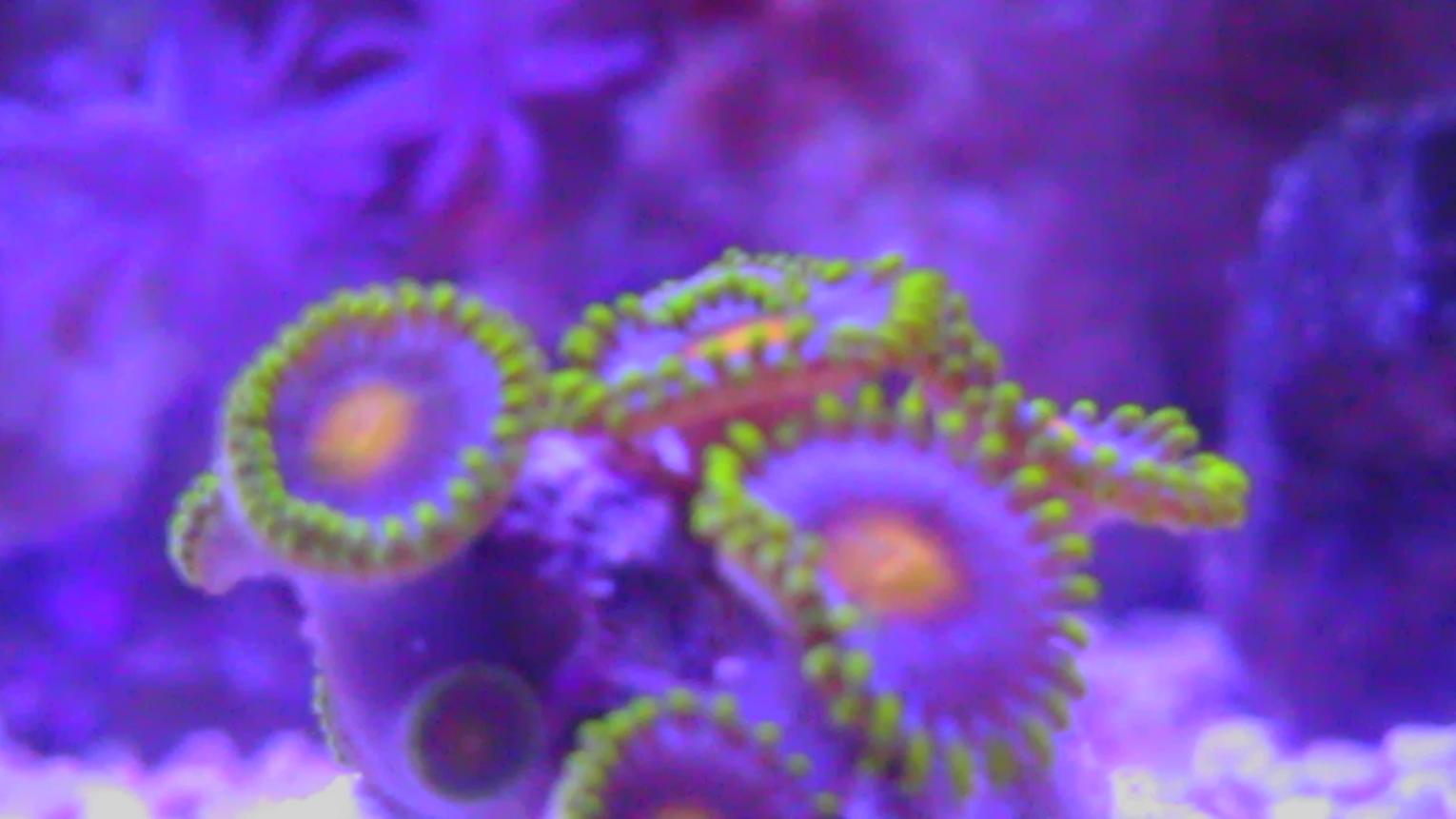 IMAG1041.jpg