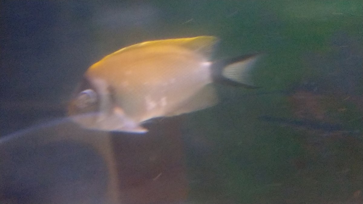 IMAG1046.jpg
