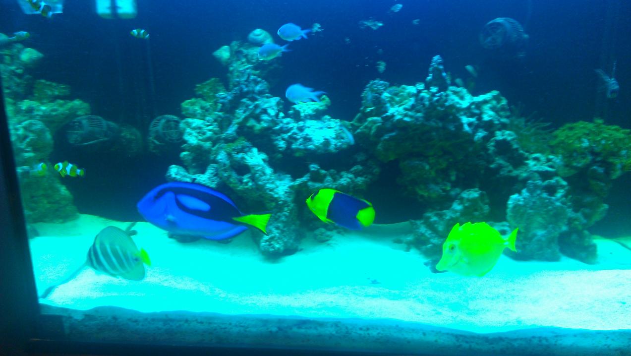 IMAG1075.jpg