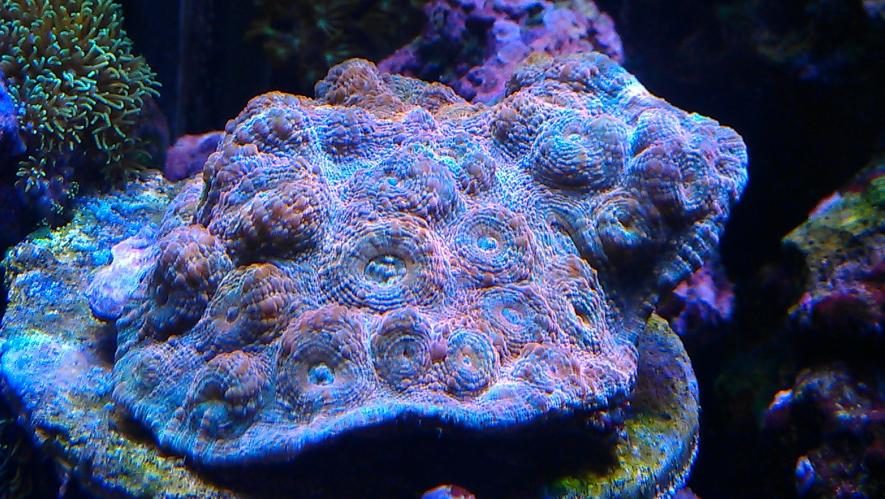 IMAG1358.jpg