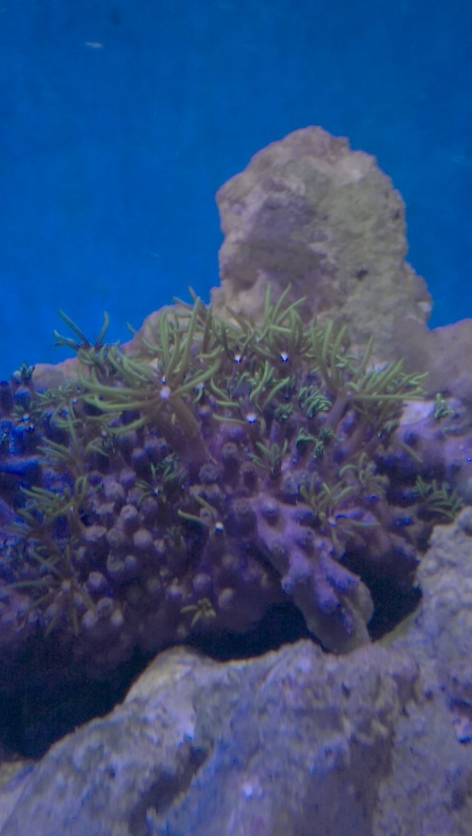 IMAG2093.jpg
