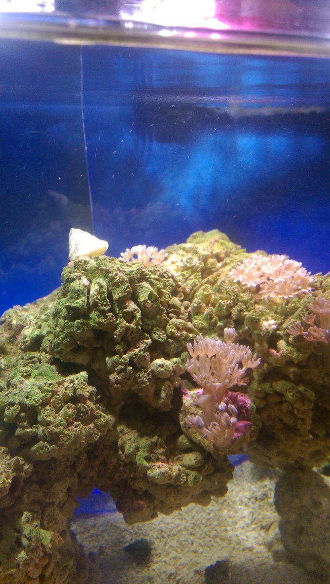 IMAG2127.jpg