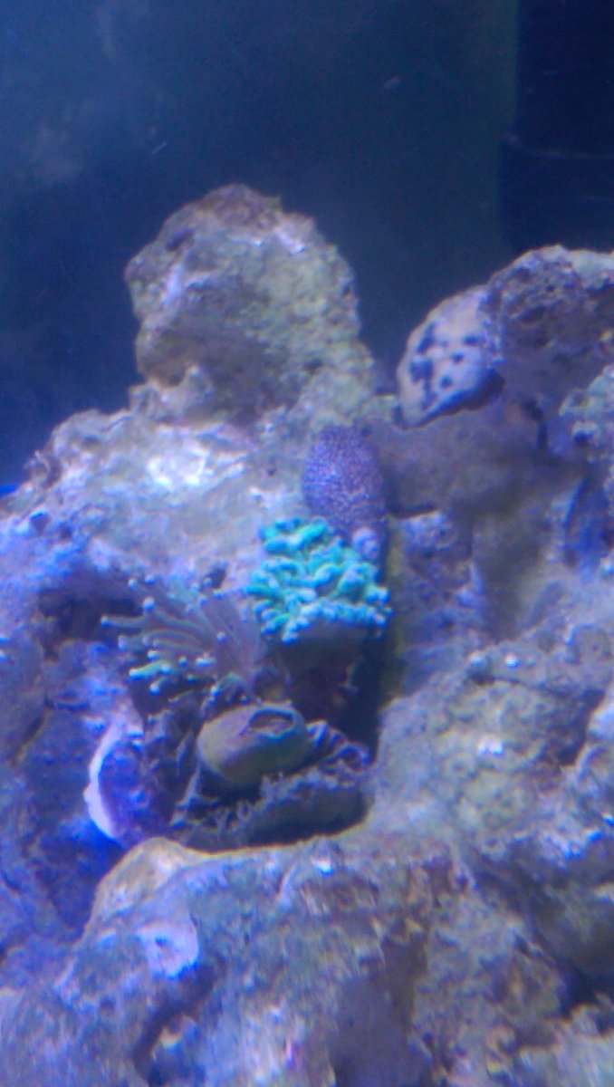 IMAG2155.jpg