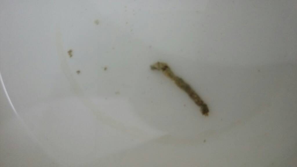 IMAG2273.jpg