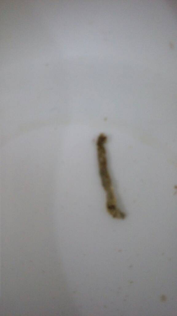 IMAG2274.jpg