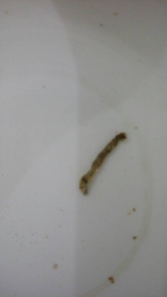 IMAG2275.jpg