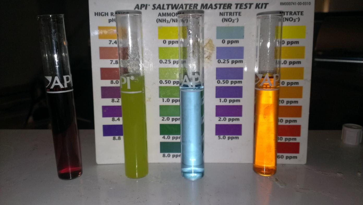 IMAG3567.jpg