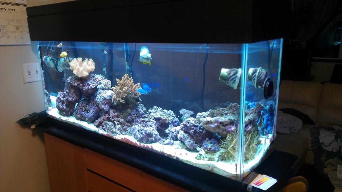 IMAG5972.jpg