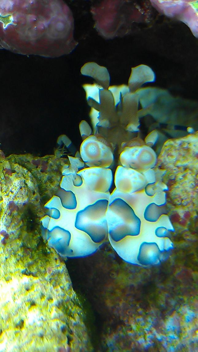 IMAG6205.jpg