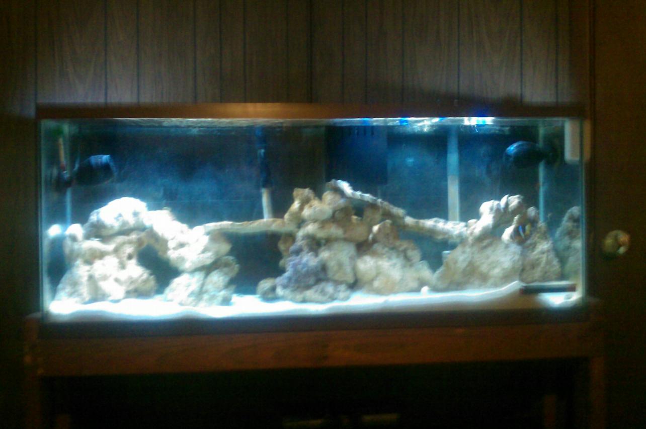 IMAG_0010.jpg
