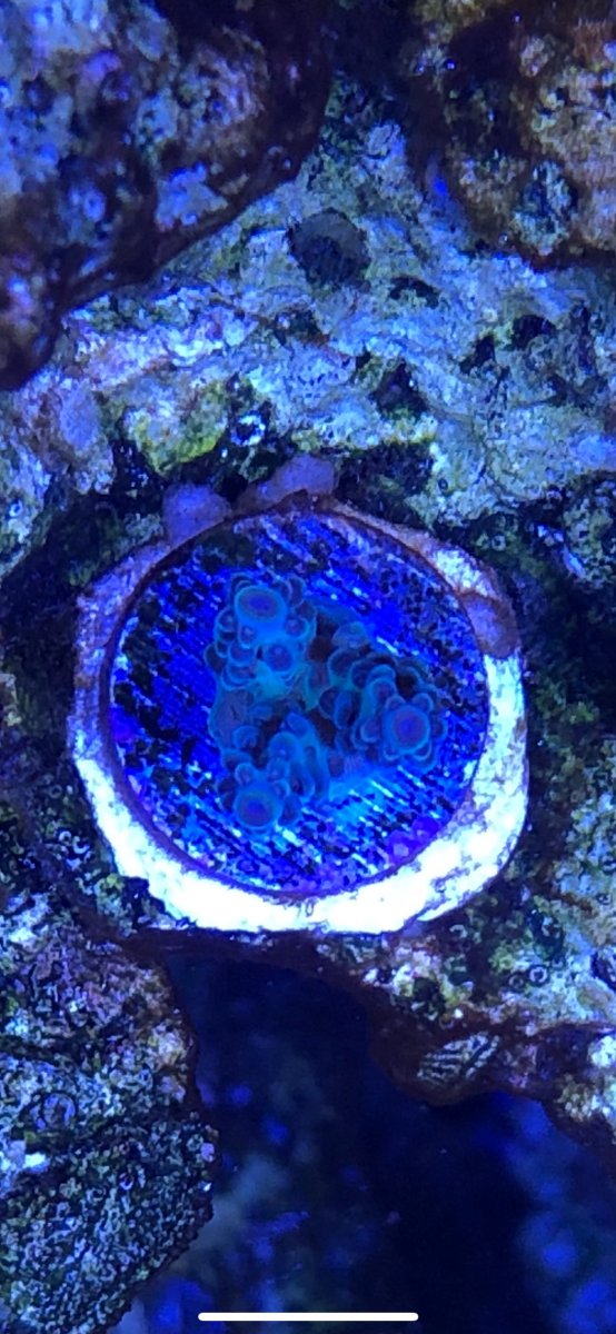 Image-1.jpg