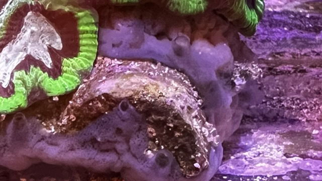Image-2 (1).jpeg