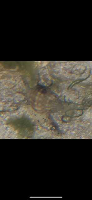 Image 2.png