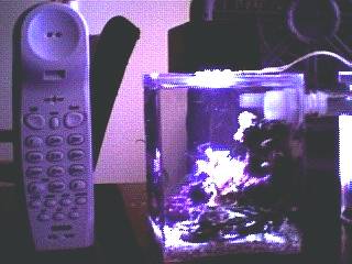 image (3).jpeg