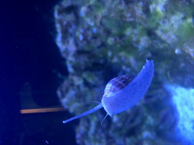 Image 3.jpg