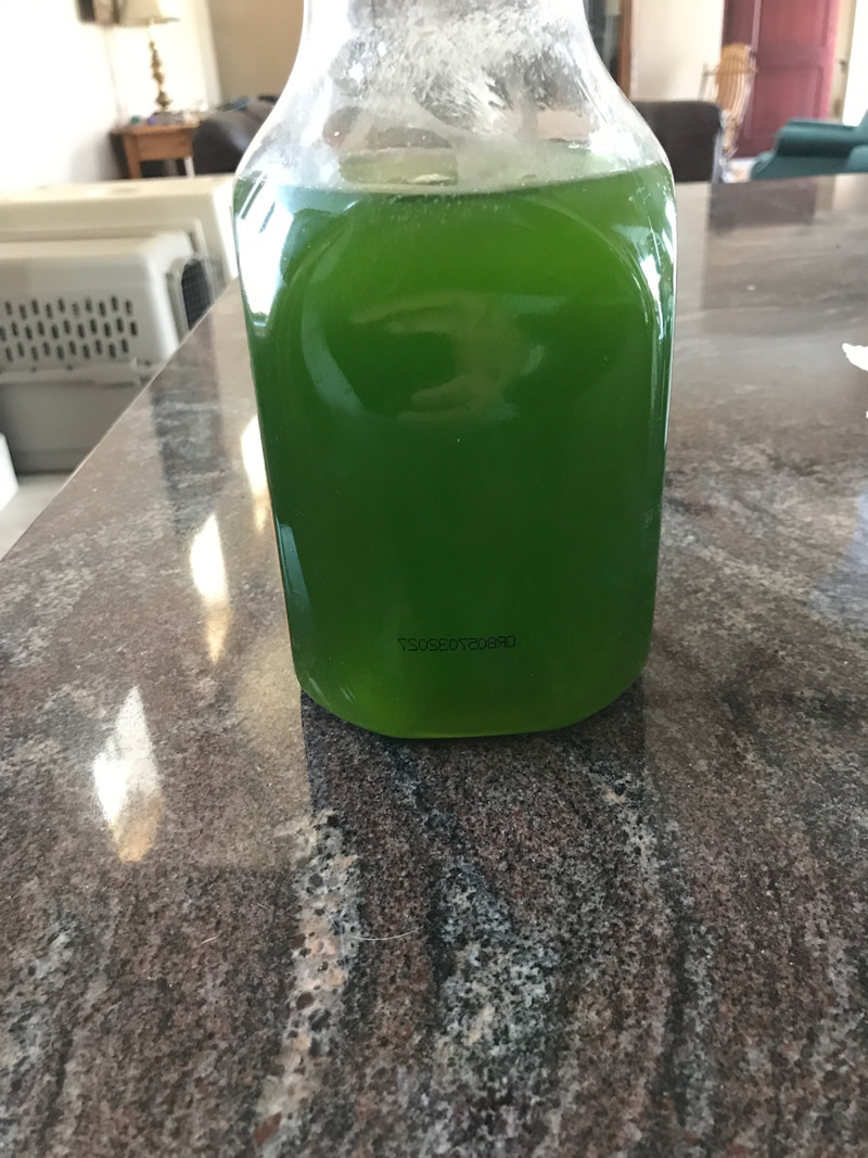 image-4.jpeg