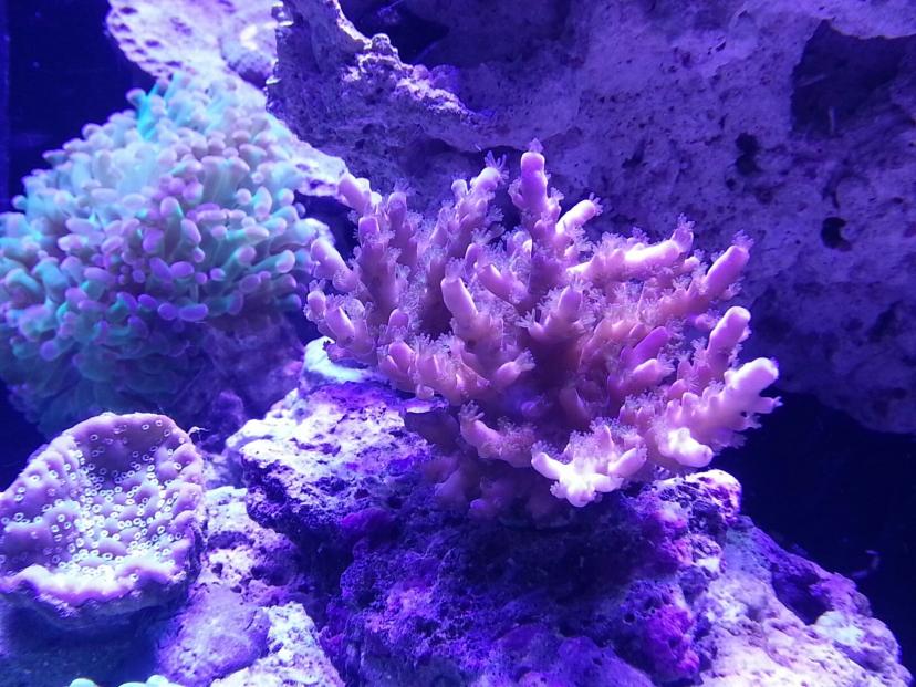 Image 9.jpg