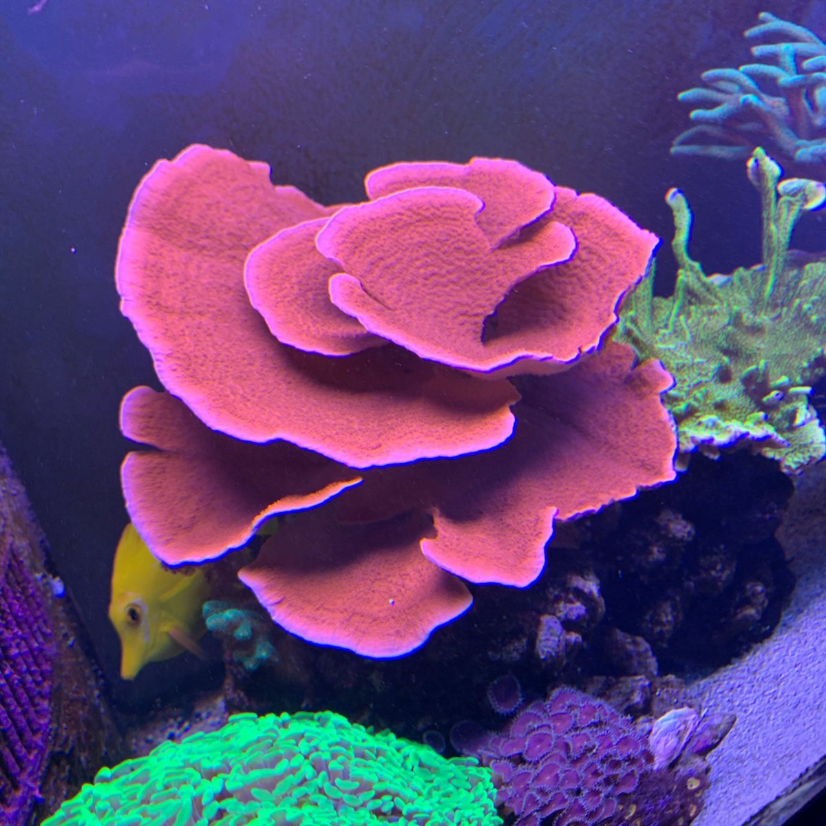 Image from iOS (5).jpg